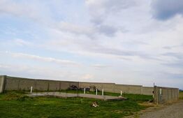 Teren intravilan de 498 mp in Burdujeni