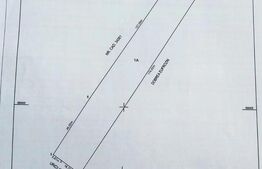 Teren extravilan de 4000 mp in Patrauti la E85