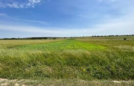 Teren cu suprafata de 8000mp ,situat in Mitocu Dragomirnei,zona Manastirii