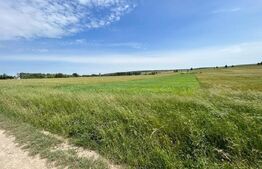 Teren cu suprafata de 8000mp ,situat in Mitocu Dragomirnei,zona Manastirii