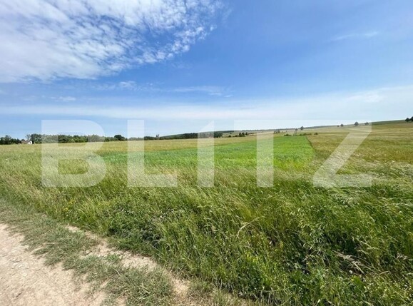 Teren de vânzare Nord - 148100TV | BLITZ Suceava | Poza1