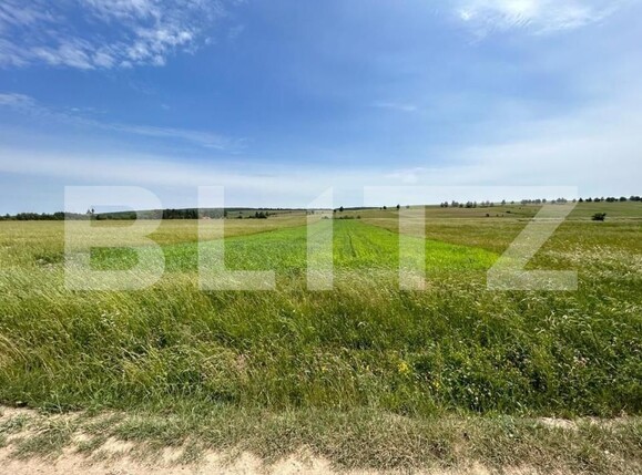 Teren de vânzare Nord - 148100TV | BLITZ Suceava | Poza2