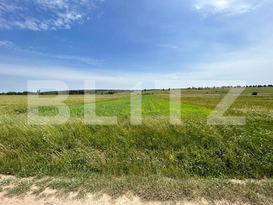 Teren de vânzare Nord - 148100TV | BLITZ Suceava | Poza2