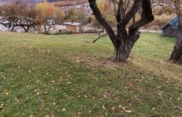 Teren intravilan, Paltinoasa, 3900 mp