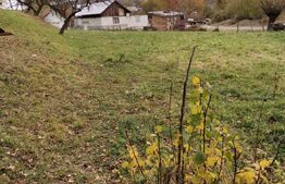 Teren intravilan, Paltinoasa, 3900 mp