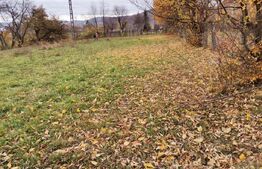 Teren intravilan, Paltinoasa, 3900 mp