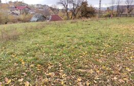 Teren intravilan, Paltinoasa, 3900 mp