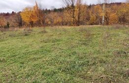 Teren intravilan, Paltinoasa, 3900 mp