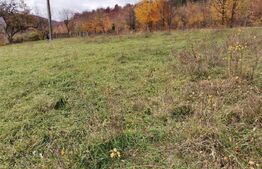 Teren intravilan, Paltinoasa, 3900 mp