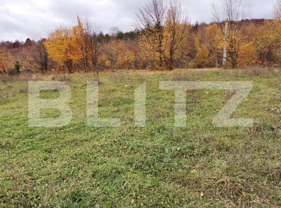 Teren de vânzare Exterior Vest - 148102TV | BLITZ Suceava | Poza4