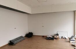 Spatiu comercial Burdujeni, 101mp