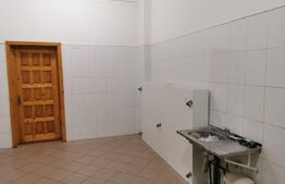 Spatiu comercial Burdujeni, 101mp