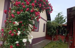 Casa de 90 mp cu teren de 2000 mp in Manoleasa, Botosani