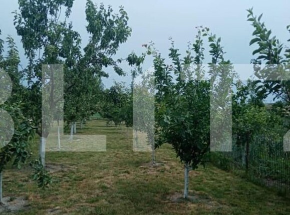 Casa de vânzare 3 camere Nord - 148604CV | BLITZ Suceava | Poza7