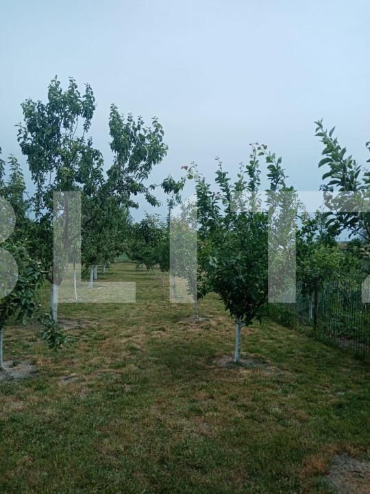 Casa de vânzare 3 camere Nord - 148604CV | BLITZ Suceava | Poza7