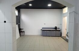 Spatiu comercial cu potențial, 108 mp, cu terasa, zona Ultracentrala