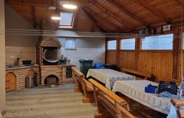 Casa individuala+ 2 spatii comerciale 280mp , 537 mp teren, zona Orizont