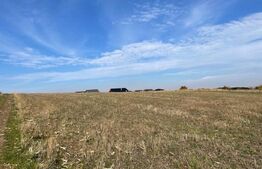 Teren intravilan , 1200 mp , front 29,74 ml , zona în plină dezvoltare Ipotesti 