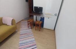 Garsonieră, 24 mp, etaj intermediar, zona George Enescu