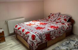 Apartament 2 camere, 52 mp, mobilat, Radauti