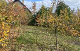 Casa Individuala cu destinatii multiple, 2200mp teren, cartier Ipotesti