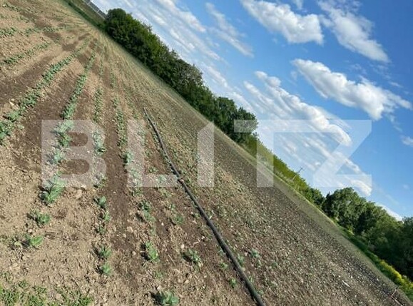 Teren de vânzare Radauti - 150152TV | BLITZ Suceava | Poza2