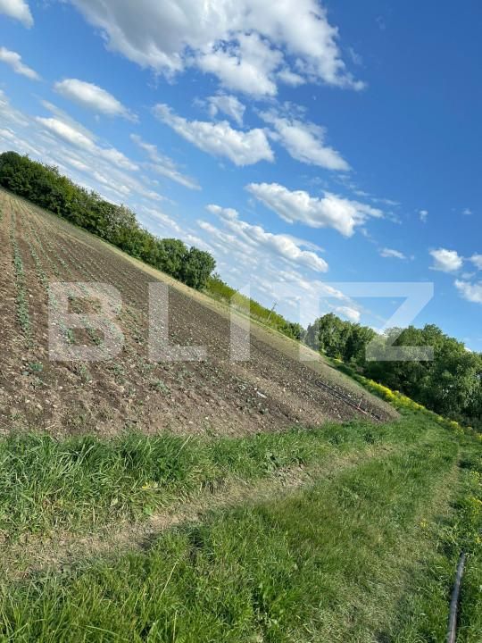 Teren de vânzare Radauti - 150152TV | BLITZ Suceava | Poza1
