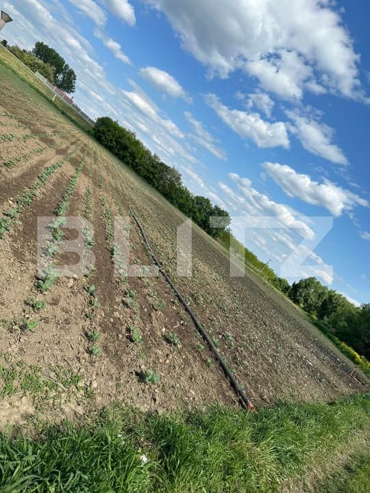 Teren de vânzare Radauti - 150152TV | BLITZ Suceava | Poza2