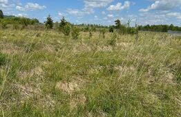 Teren intravilant, 2500 MP, parcelabil , front 25 ml ,Hardic