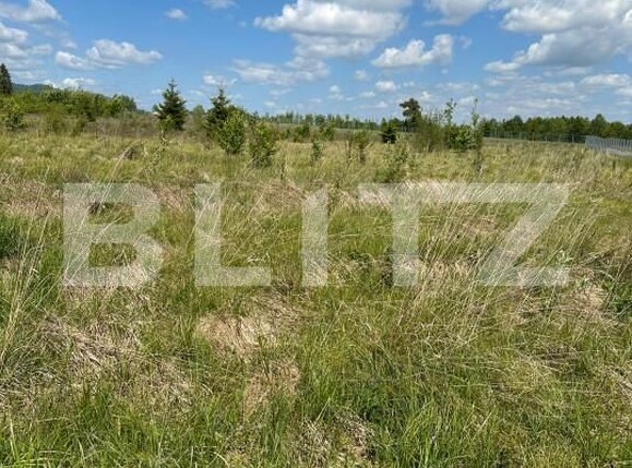 Teren de vânzare Radauti - 150556TV | BLITZ Suceava | Poza4