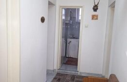 Casa individuala, 372 mp, 1339 mp teren, pretabila business, zona Scheia