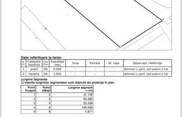 Ocazie! Teren intravilan , 6000 mp , front 53 ml, zona MItoc langa padure