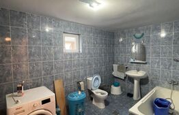 Casa individuala, 1600mp curte, 98mp, Mitocu Dragomirnei