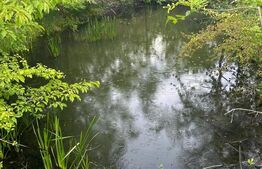 Casa individuala, Teren 9200 mp ,zona Fratautii Noi, Radauti