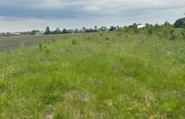 Casa individuala, Teren 9200 mp ,zona Fratautii Noi, Radauti