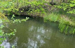 Casa individuala, Teren 9200 mp ,zona Fratautii Noi, Radauti