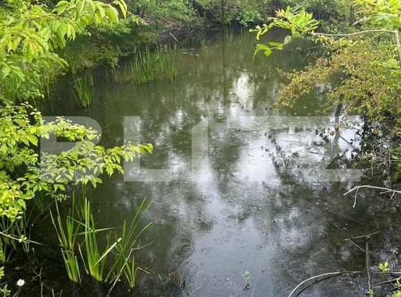 Casa de vânzare 5 camere Fratautii Noi - 150865CV | BLITZ Suceava | Poza8