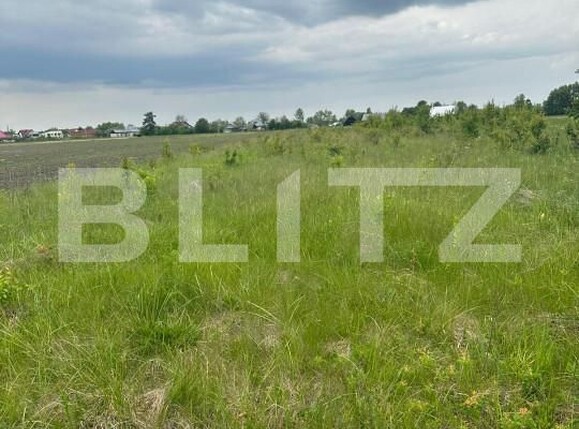 Casa de vânzare 5 camere Fratautii Noi - 150865CV | BLITZ Suceava | Poza4
