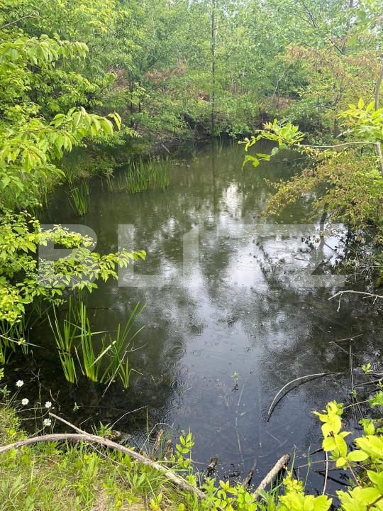 Casa de vânzare 5 camere Fratautii Noi - 150865CV | BLITZ Suceava | Poza8