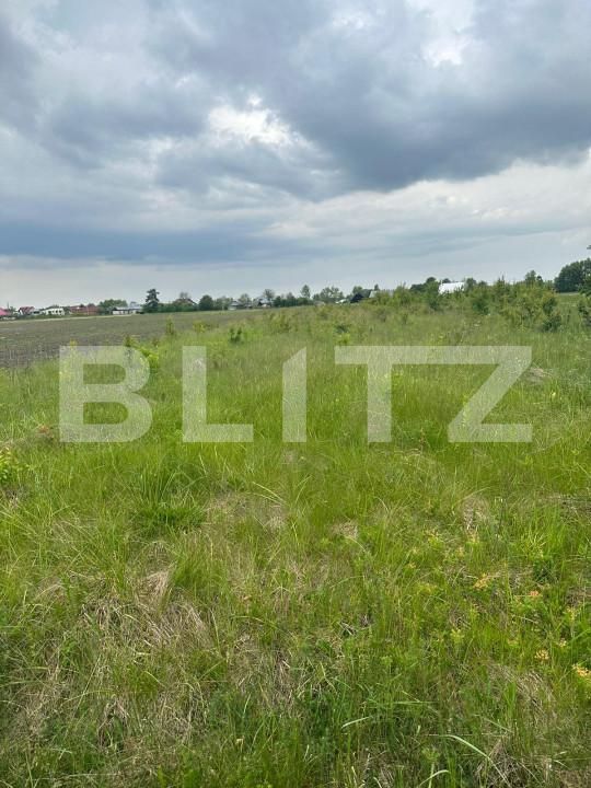 Casa de vânzare 5 camere Fratautii Noi - 150865CV | BLITZ Suceava | Poza4