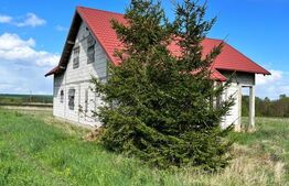 Casa individuala ,la rosu, zona -Negostina
