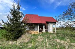 Casa individuala ,la rosu, zona -Negostina