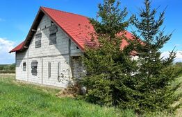 Casa individuala ,la rosu, zona -Negostina