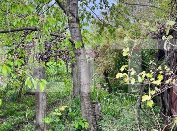 Casa de vânzare 2 camere Exterior Nord - 150945CV | BLITZ Suceava | Poza9