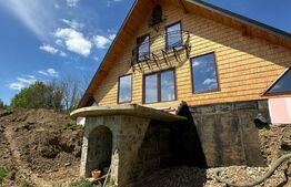 Conac Modern în Inima Naturii, Horodnicu de Sus, Radauti