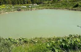 Conac Modern în Inima Naturii, Horodnicu de Sus, Radauti