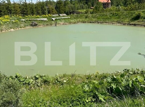 Casa de vânzare 4 camere Horodnic - 150964CV | BLITZ Suceava | Poza5