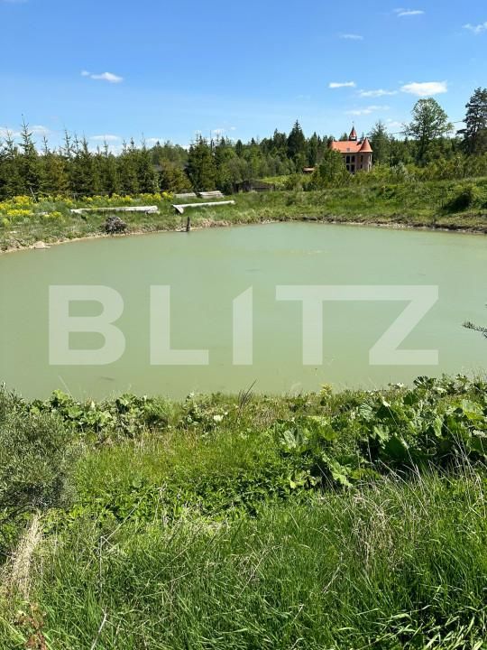 Casa de vânzare 4 camere Horodnic - 150964CV | BLITZ Suceava | Poza5