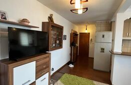 Apartament 2 camere, 43 mp, zona George Enescu