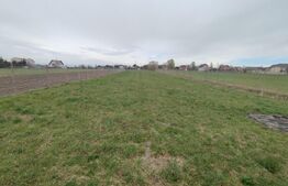 Casa individuala 4 camere, 200 mp, zona Horodnic